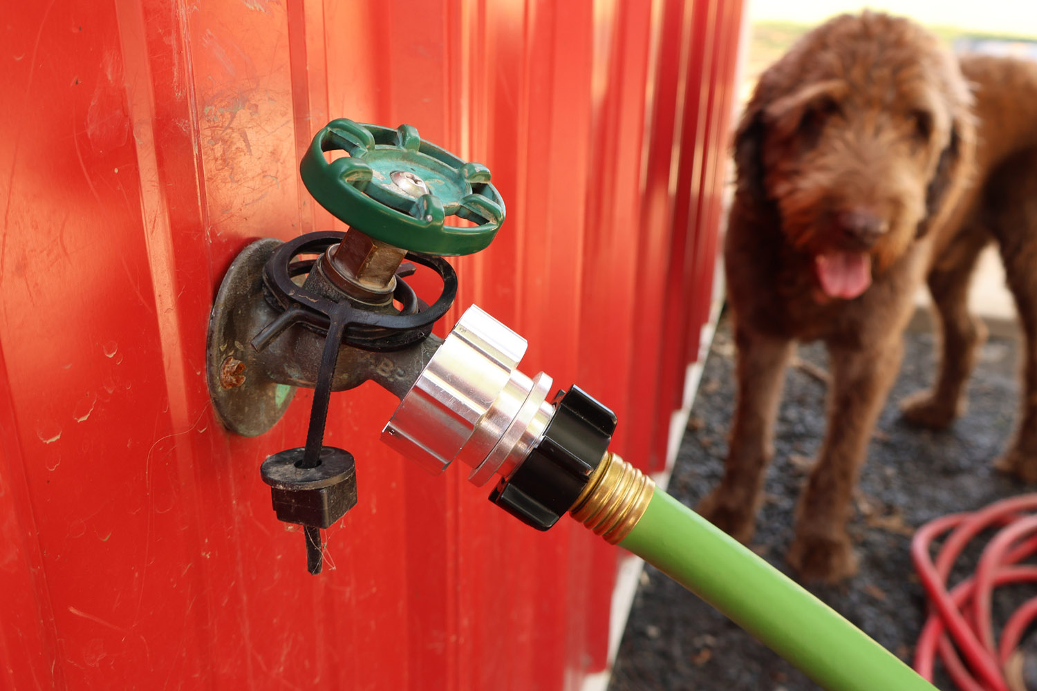 Hose Shark handles heavy hose movement without loosening or leaks.